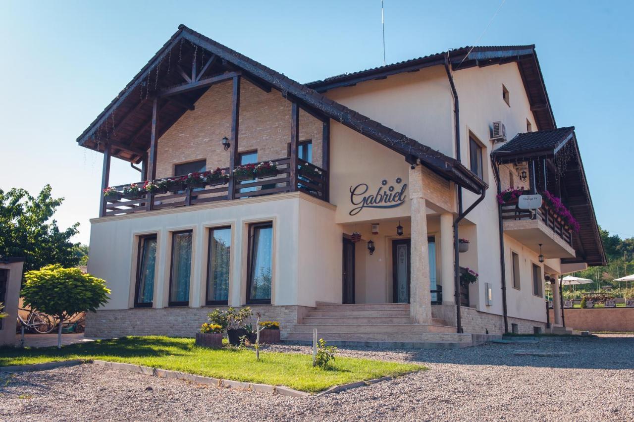 Pensiunea Gabriel Corcova Luaran gambar